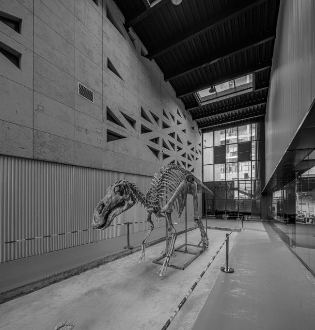 企业洞穴（英良公司自然历史石材博物馆）丨中国泉州丨Atelier Alter北京工作室-77