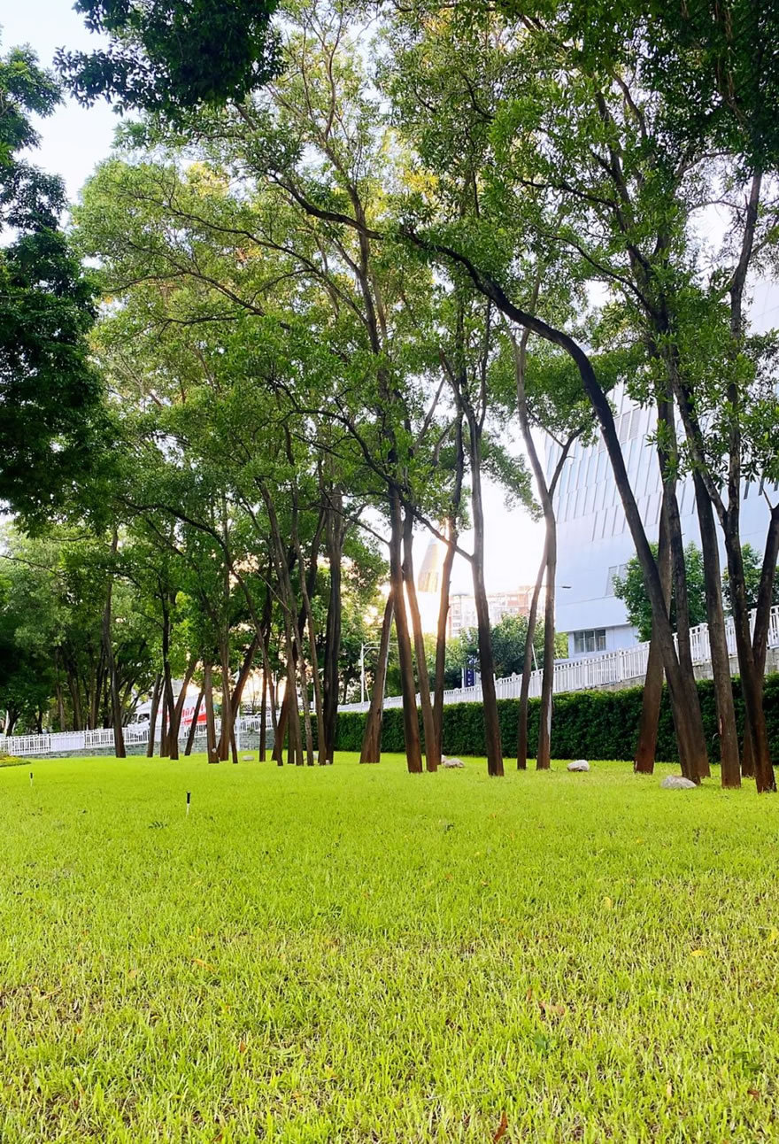 深圳福田侨香路景观提升丨中国深圳丨深圳文科园林股份有限公司-110