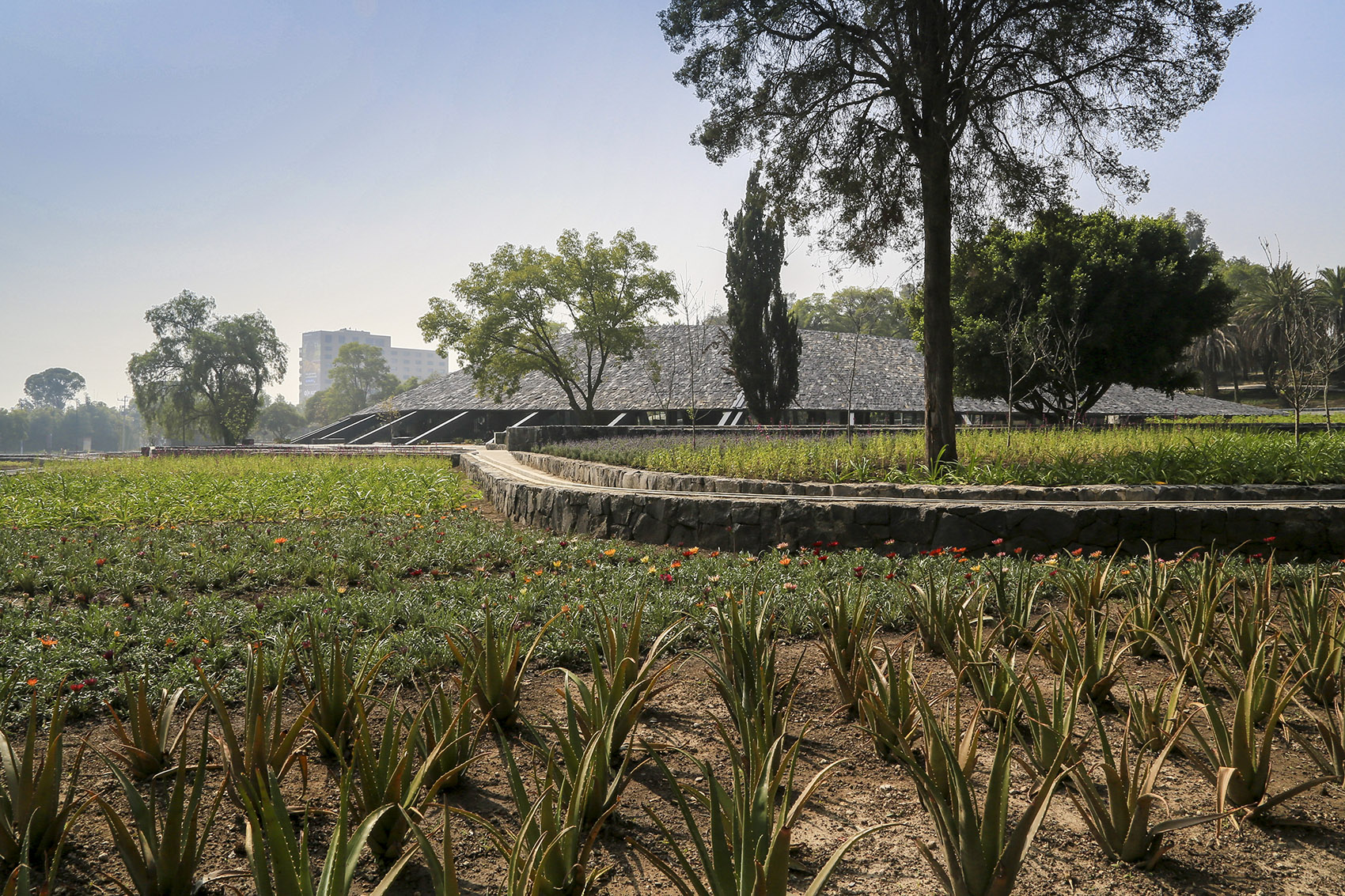 环境文化中心丨墨西哥墨西哥城-64