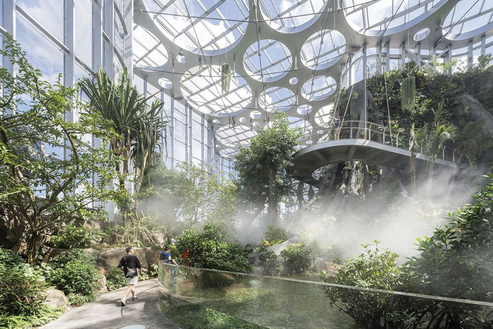 上海世博文化公园新温室花园项目丨中国上海-4