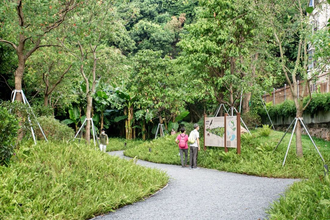 紫涧园（郊野径入口）景观设计丨东大（深圳）设计有限公司,AECOM-68
