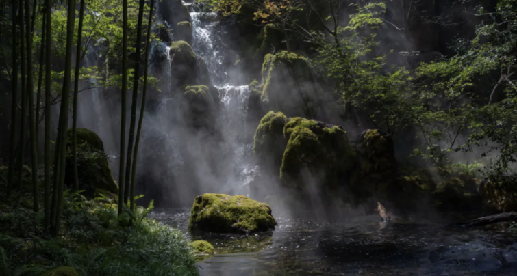天津铂悦·公望丨中国天津丨LANDAU朗道国际设计-87