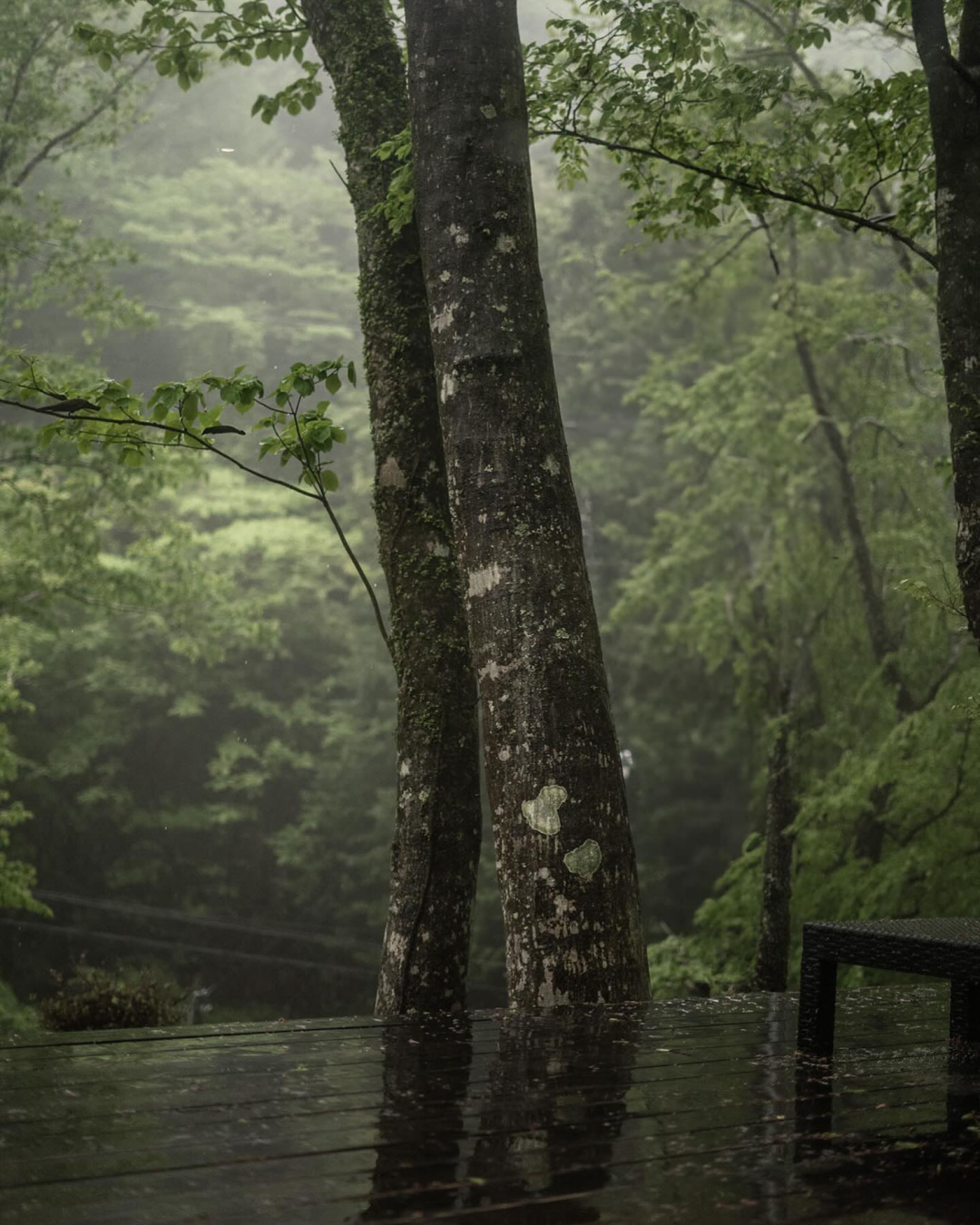 丨日本丨TIME MOD JAPAN建筑工作室-87