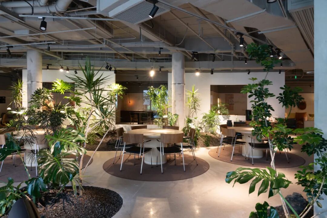 一尺花园前滩休闲公园店-60