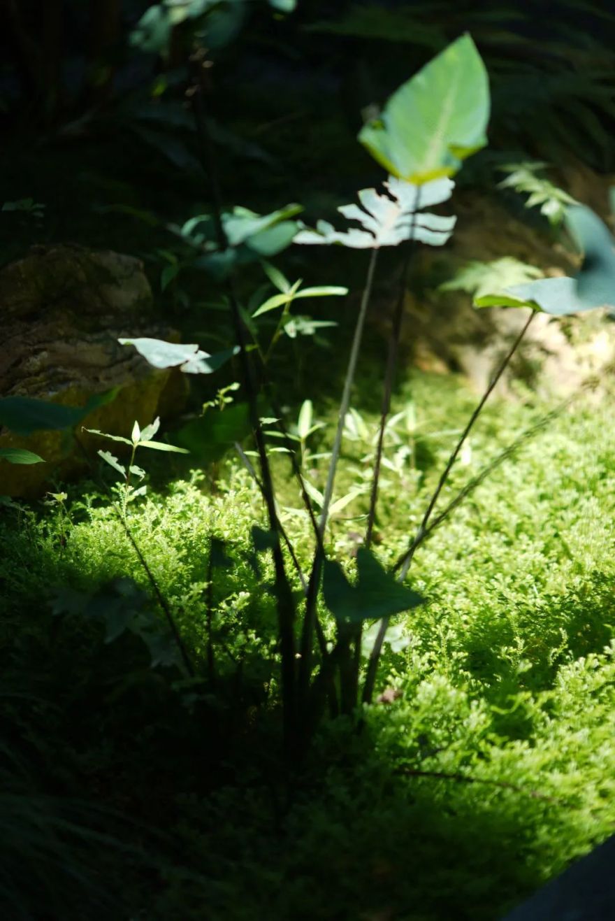 重庆九曲河 600㎡现代别墅丨中国重庆丨彭华设计团队-40