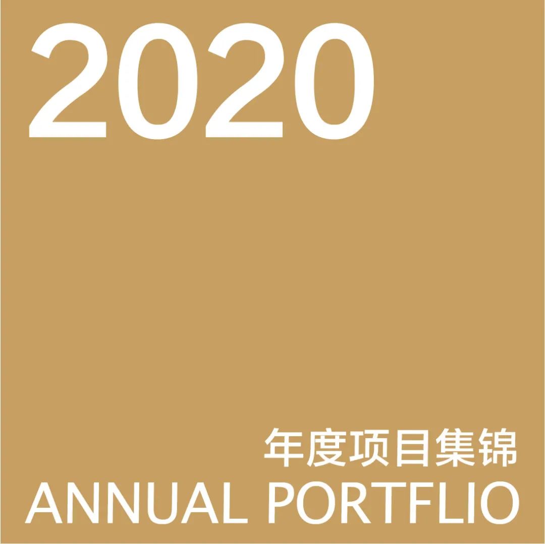 2020 年度项目集锦-0