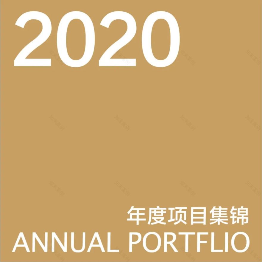 2020 年度项目集锦-0