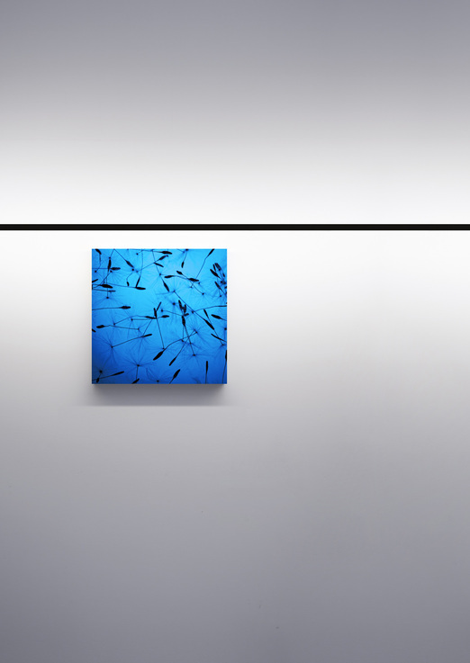 Davide Groppi | 产品 -15