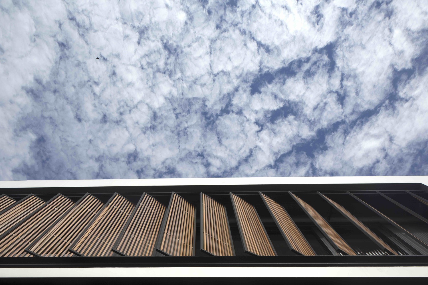 See Through House  Wallflower Architecture + Design-32