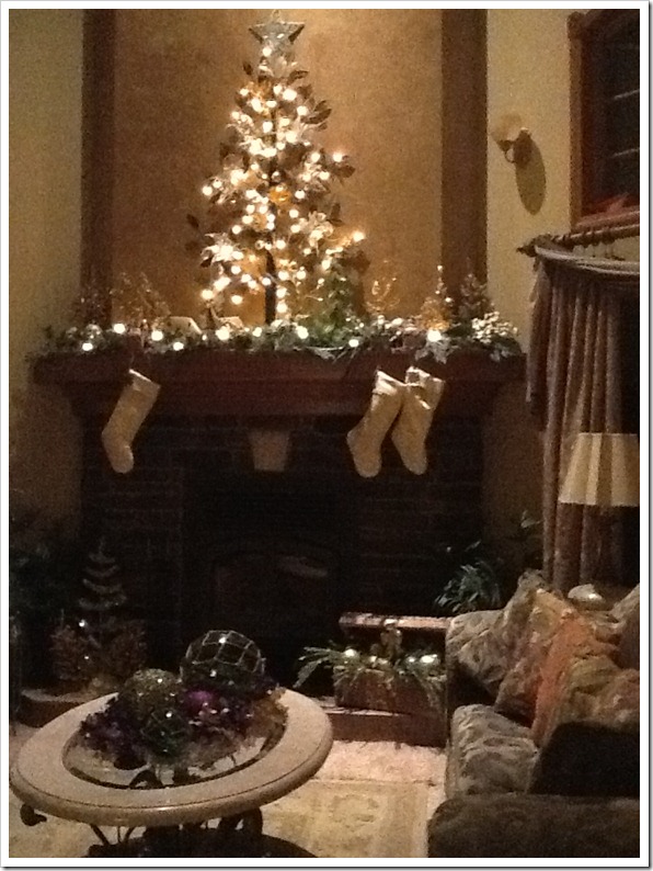 Annette家的圣诞节室内布置丨美国俄亥俄-7