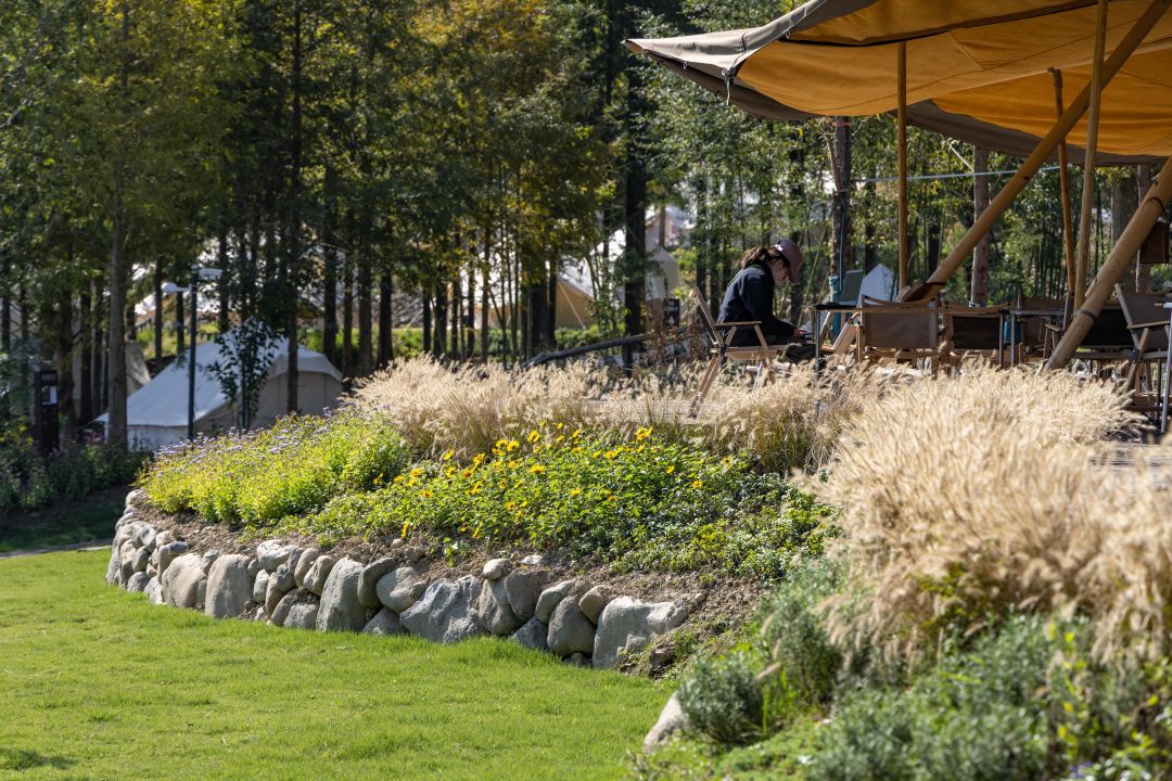 数一轮晨夕 折一朵明媚 | 安吉小杭坑营地-55