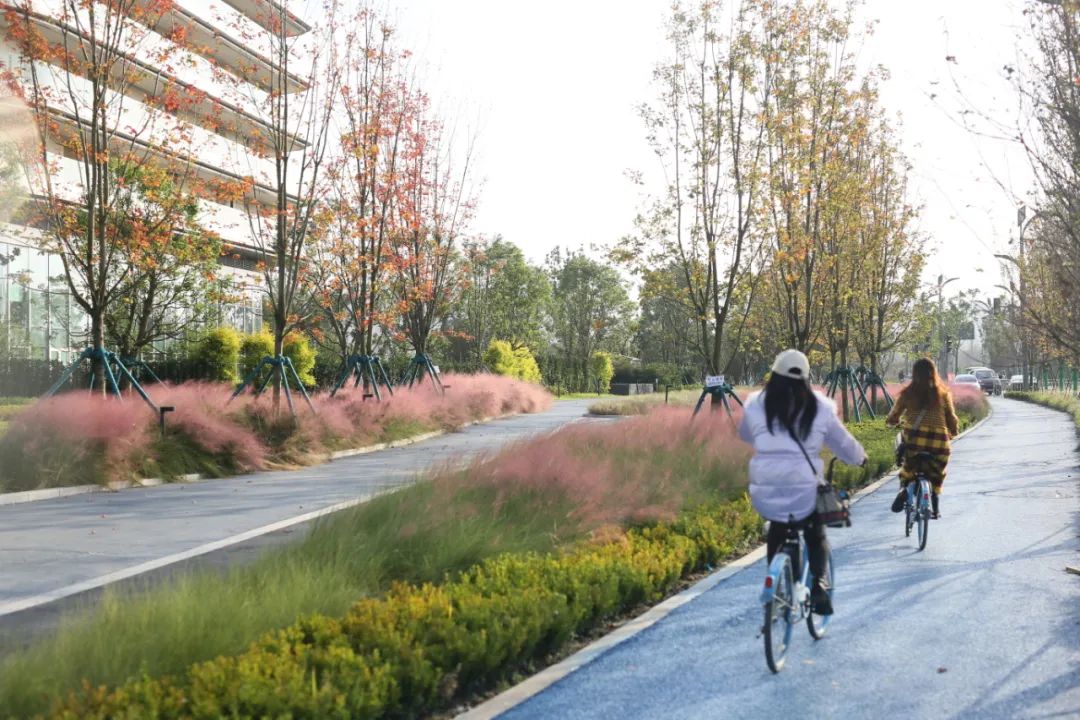 成都东安湖木棉花酒店丨中国成都丨Lab D+H,CELEC成都绿茵景园-27