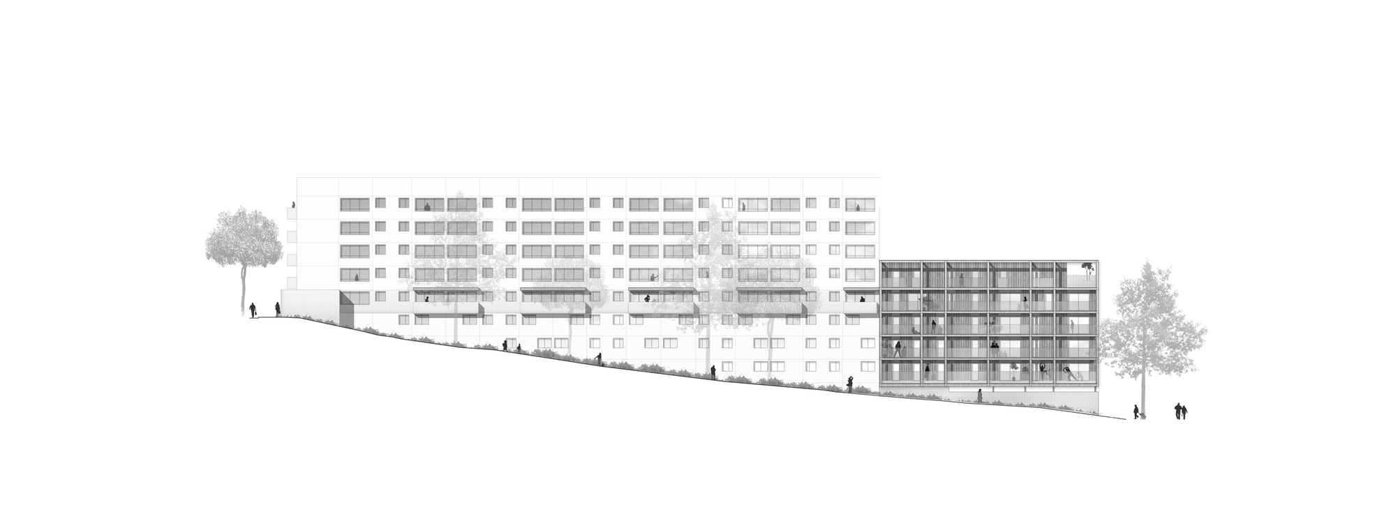 历史与现代交融的 Callot B1 Housing 公寓设计-5