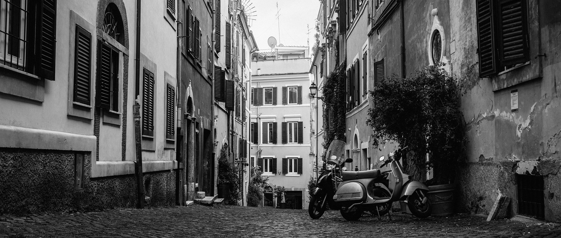 未命名丨Alexander Rentsch-107