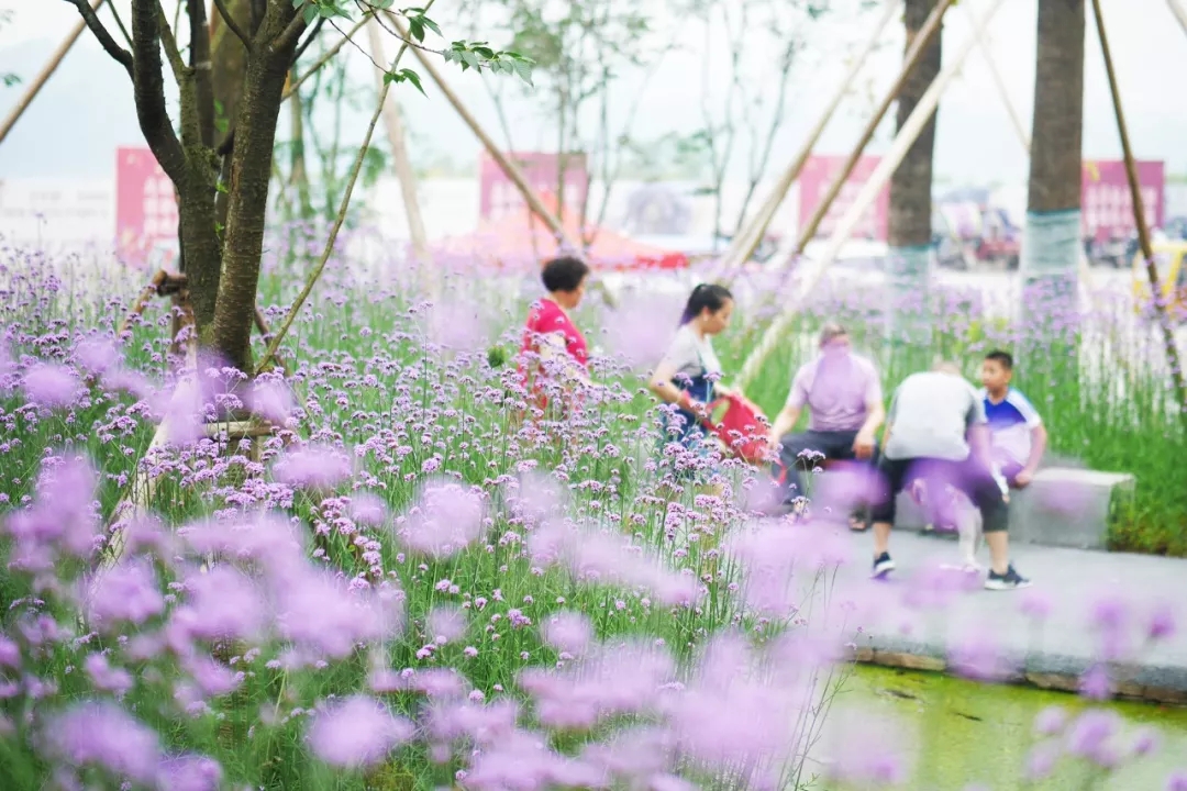 合川花滩国际新城公园-26