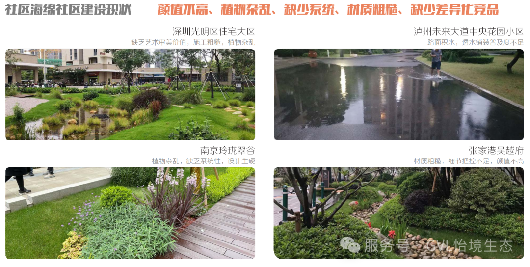 独家干货!在住宅区里建一个神奇水花园-3