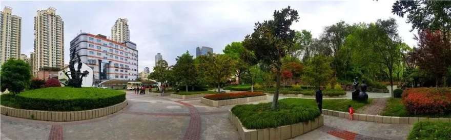 共写自然新故事|番禺绿地参与式规划开放日暨自然体验活动报名啦-22