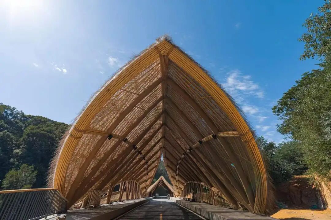 竹境案例|天人山水大地艺术园-竹桥-4