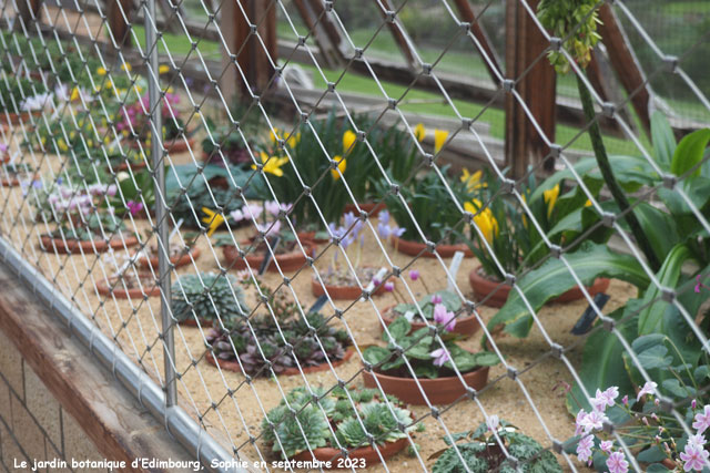 爱丁堡高山植物园丨英国爱丁堡-41