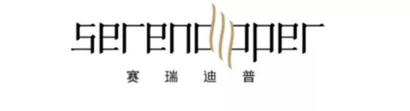 赛瑞迪普空间设计· 雁归故里 詩意栖居-48