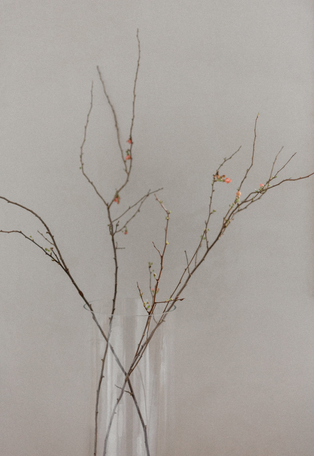 莫斯科 3L Store丨俄罗斯莫斯科丨纳塔利亚(Natalya)-27