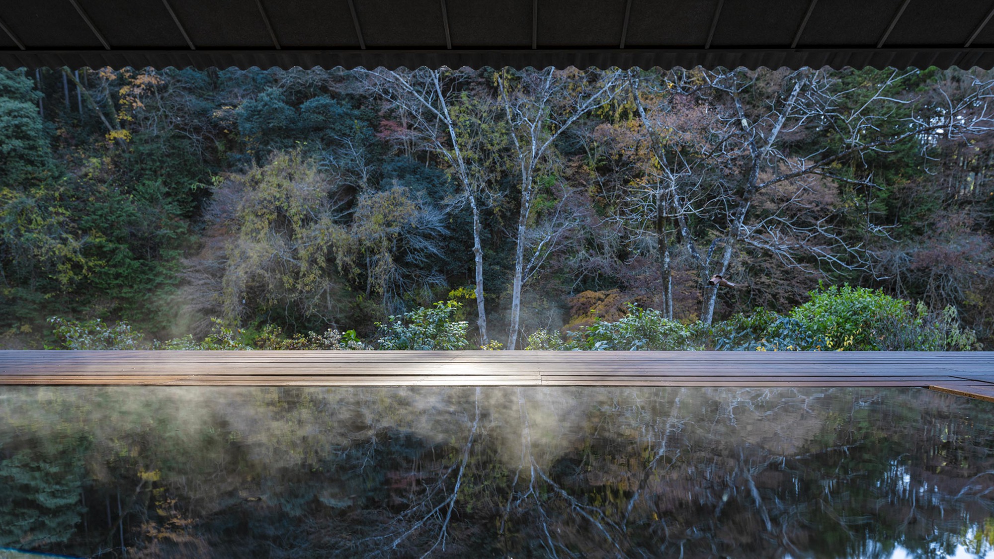 丨日本东京丨Tezuka Architects-36