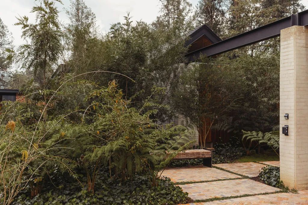 安蒂奥基亚 C+n 家庭住宅 | 自然环境与室内空间的完美融合-14