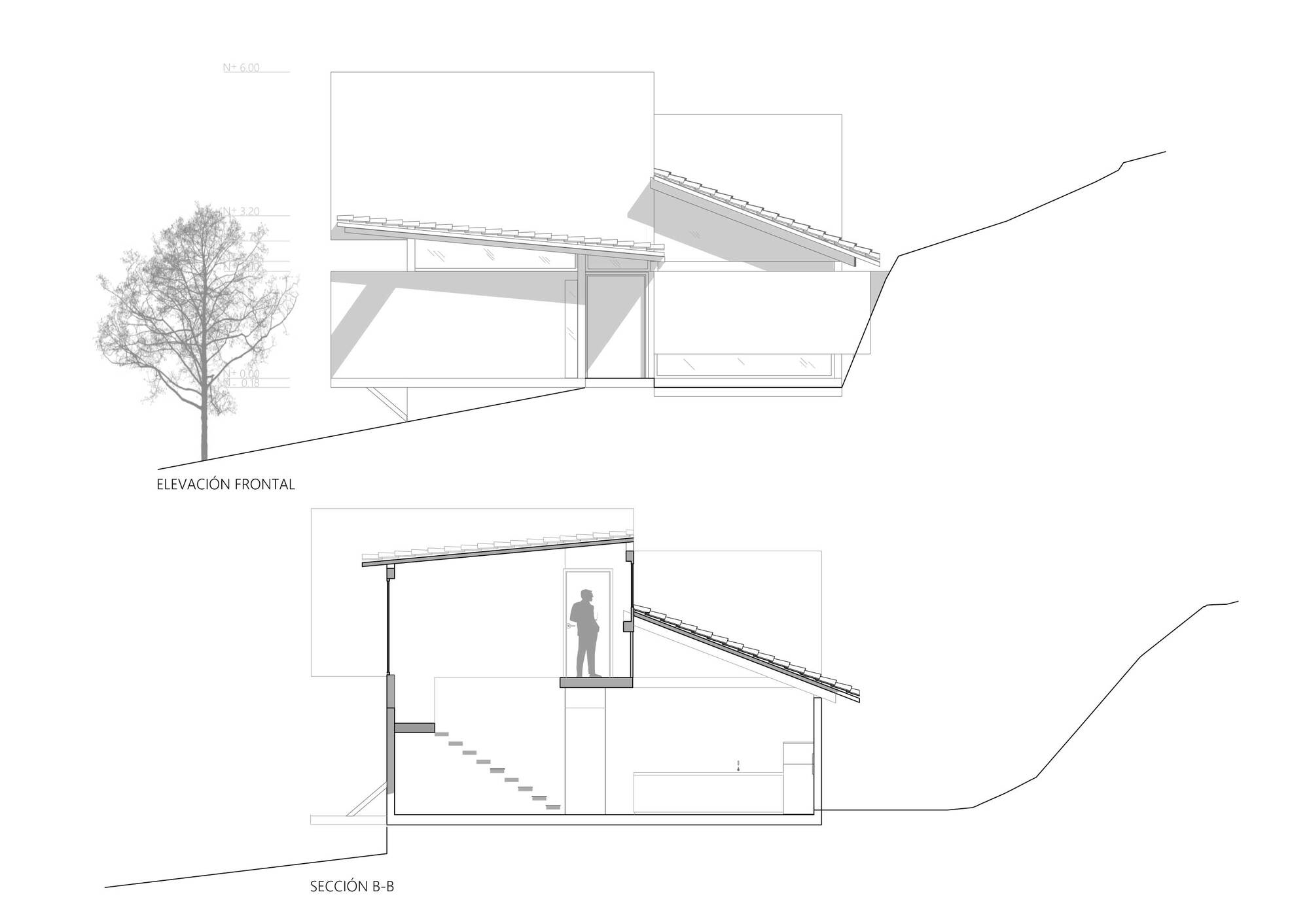 房子分支和岩石丨厄瓜多尔丨Ruptura Morlaca Arquitectura-37