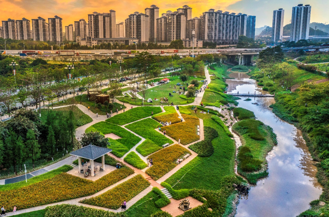 广州南岗河生态修复项目丨中国广州丨AECOM团队-53