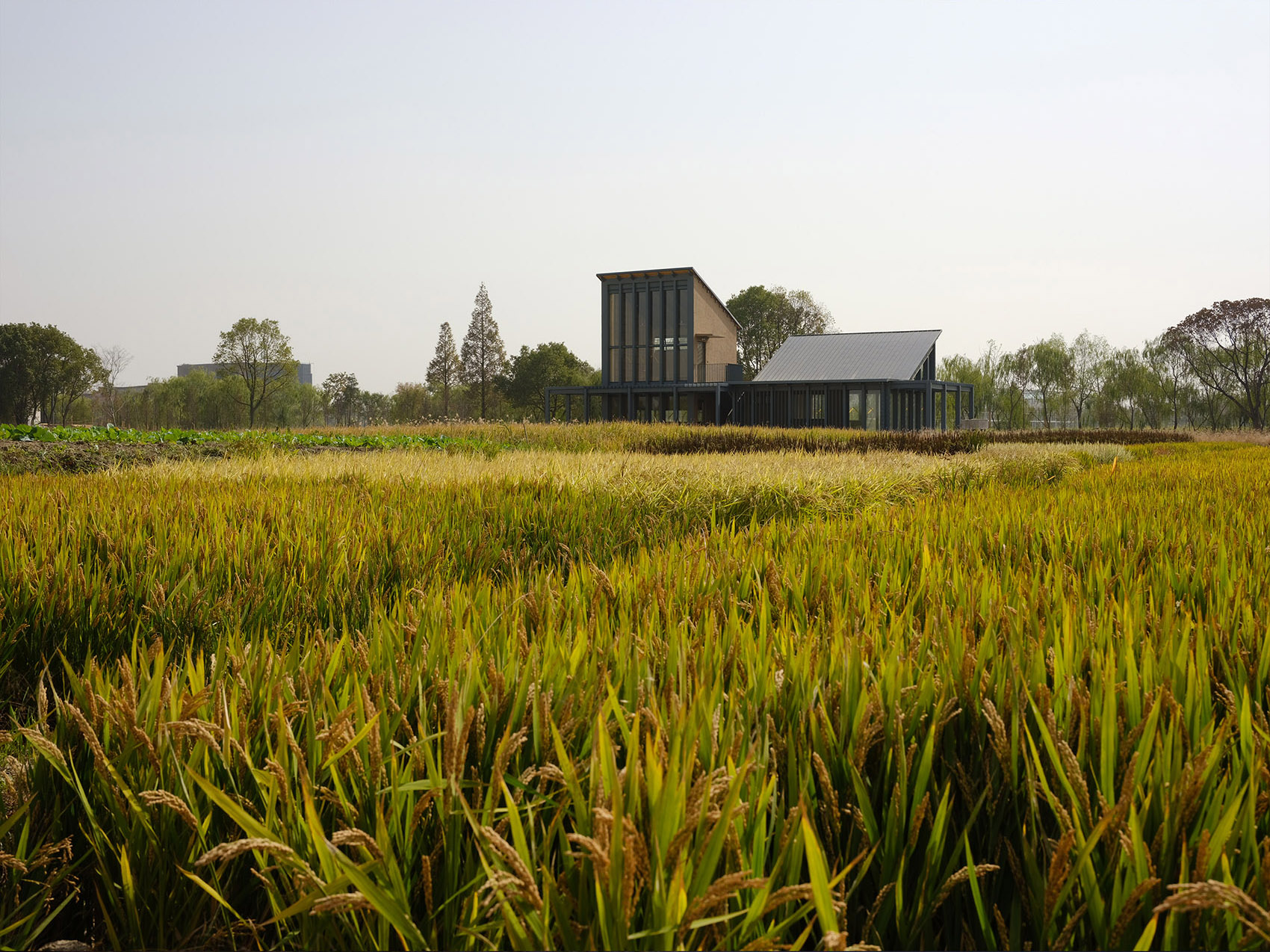 乌镇谭家湾稻田书局，浙江 / 东维建筑-17