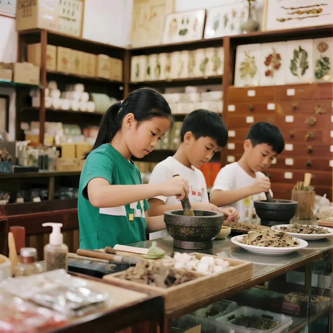 【道地芳园】百亩中草药主题亲子研学疗愈营地规划与运营方案-48