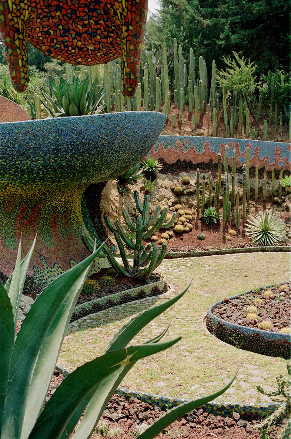 羽蛇神的巢穴丨墨西哥丨Javier Senosiain Aguilar-50