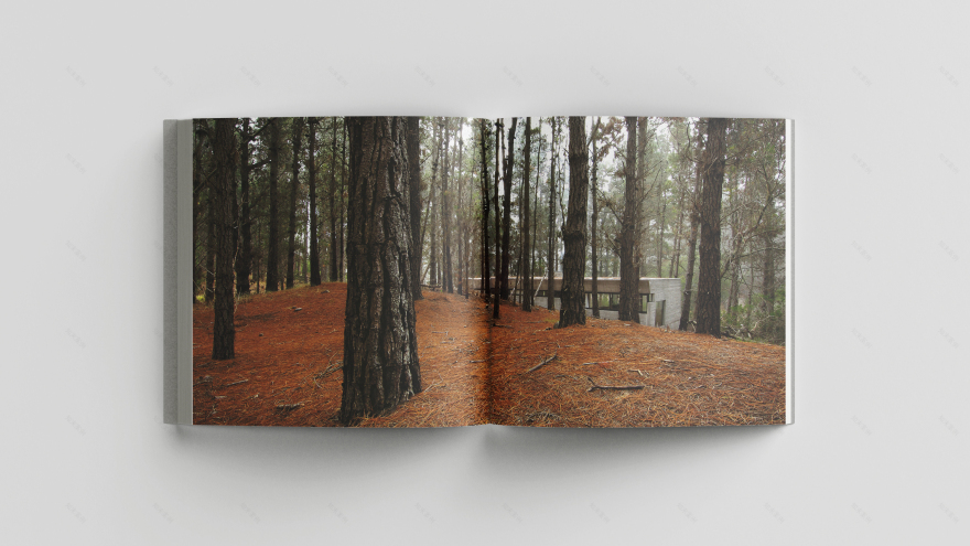 具体自然丨阿根廷-19