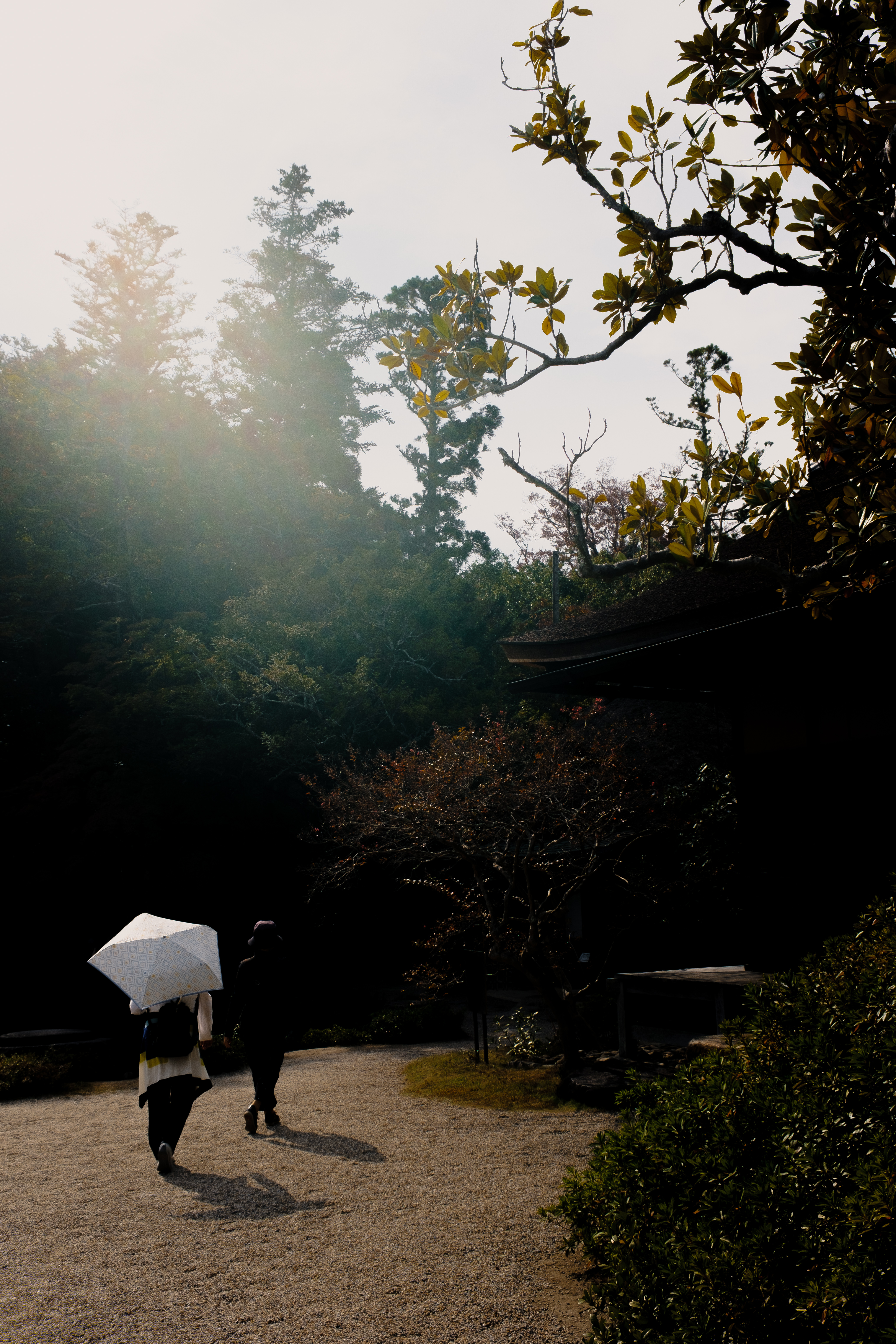 Yosuien 室内设计丨日本奈良-12