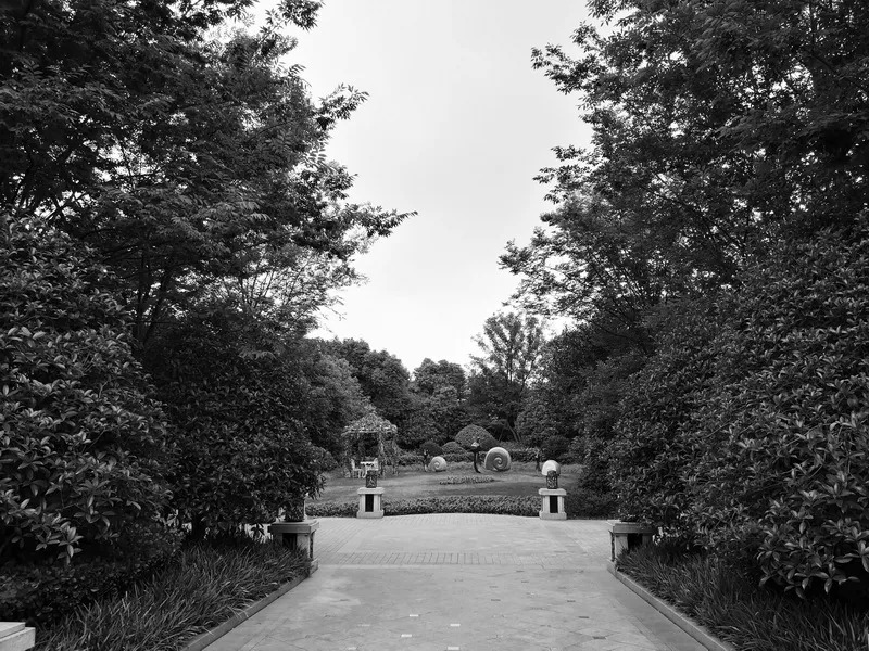   张唐景观丨上海大华马杰克双语幼儿园  景观设计 丨中国上海-29