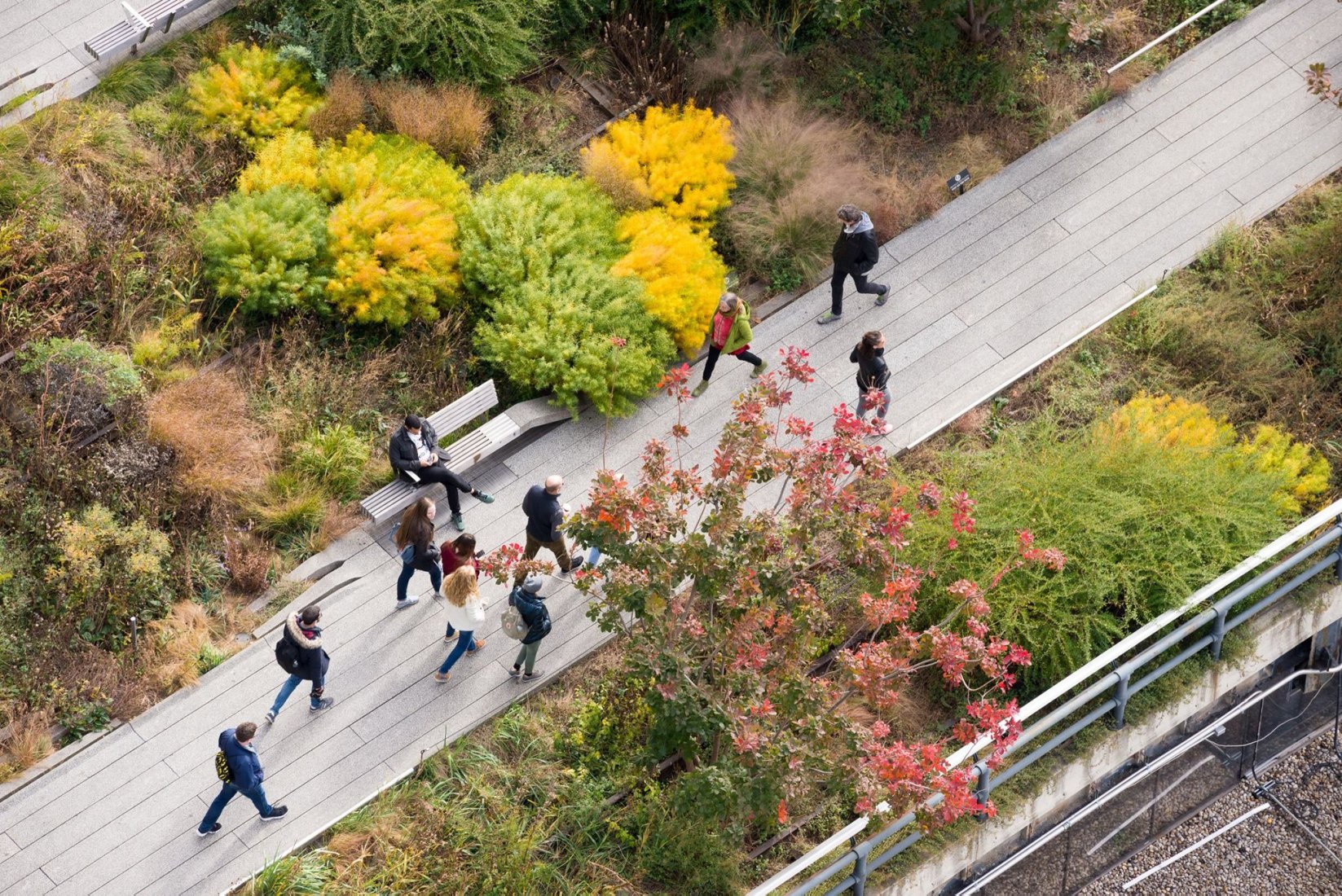 纽约高线公园（The High Line）丨美国曼哈顿-31