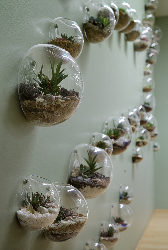 Weebly 办公室-- 旧金山历史仓库的现代改造-31