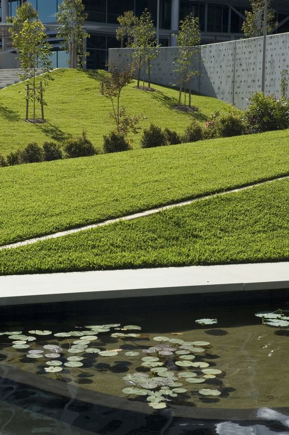 Optus 总部庭院设计-11