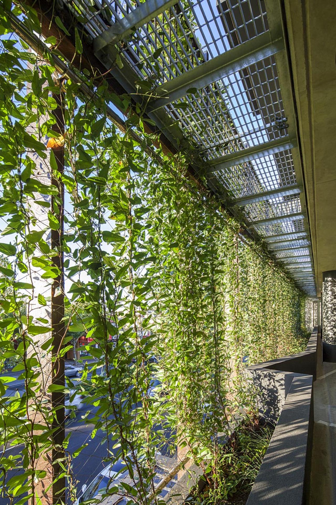 丨Idle Architecture Studio-6