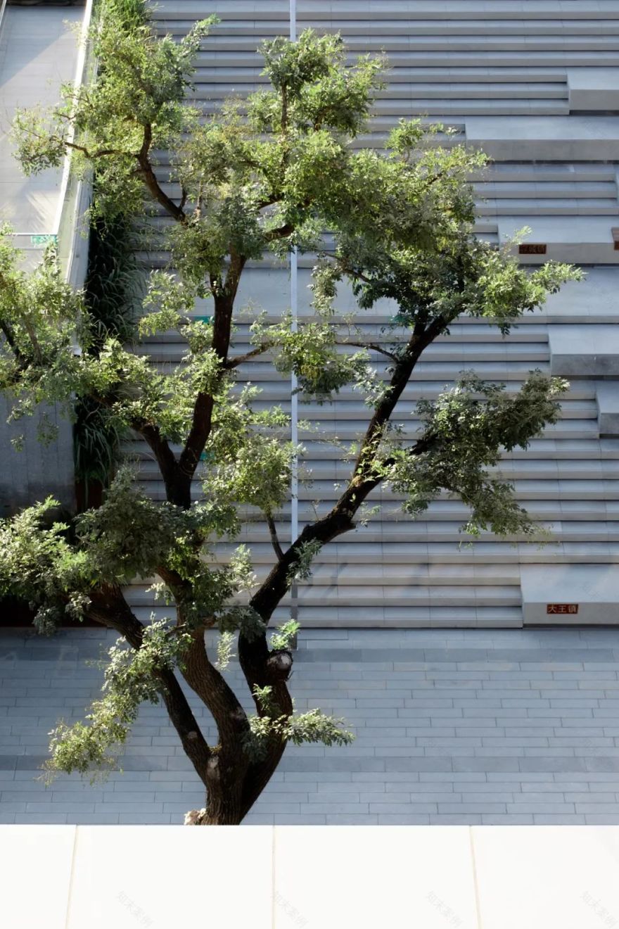 绿色智慧生活样本 | 乡愁记忆的新区实验区-36