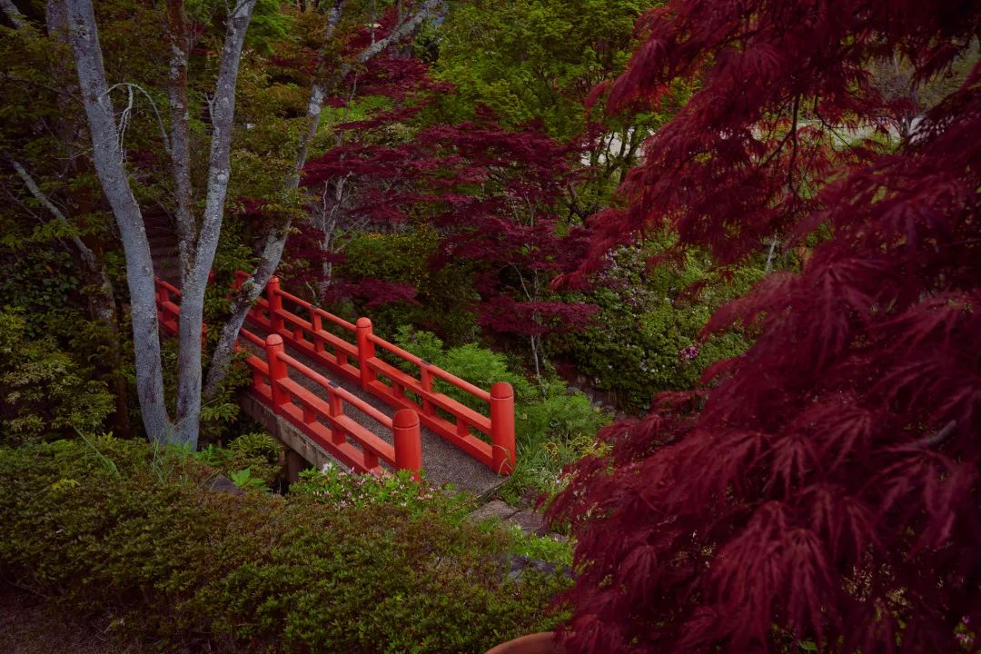 Atami 别墅丨日本静冈丨André Fu-1
