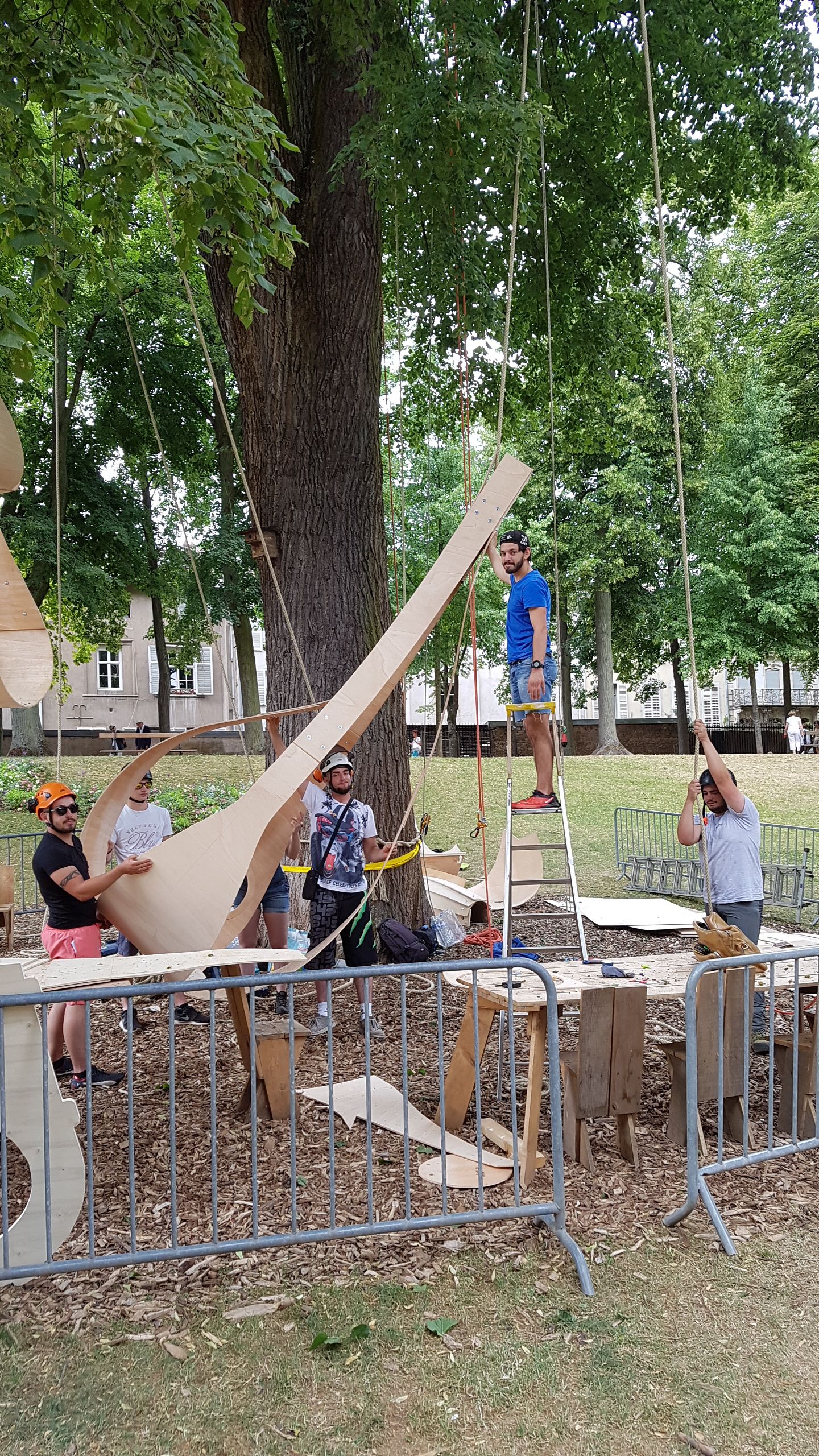 南锡的空贝壳-0