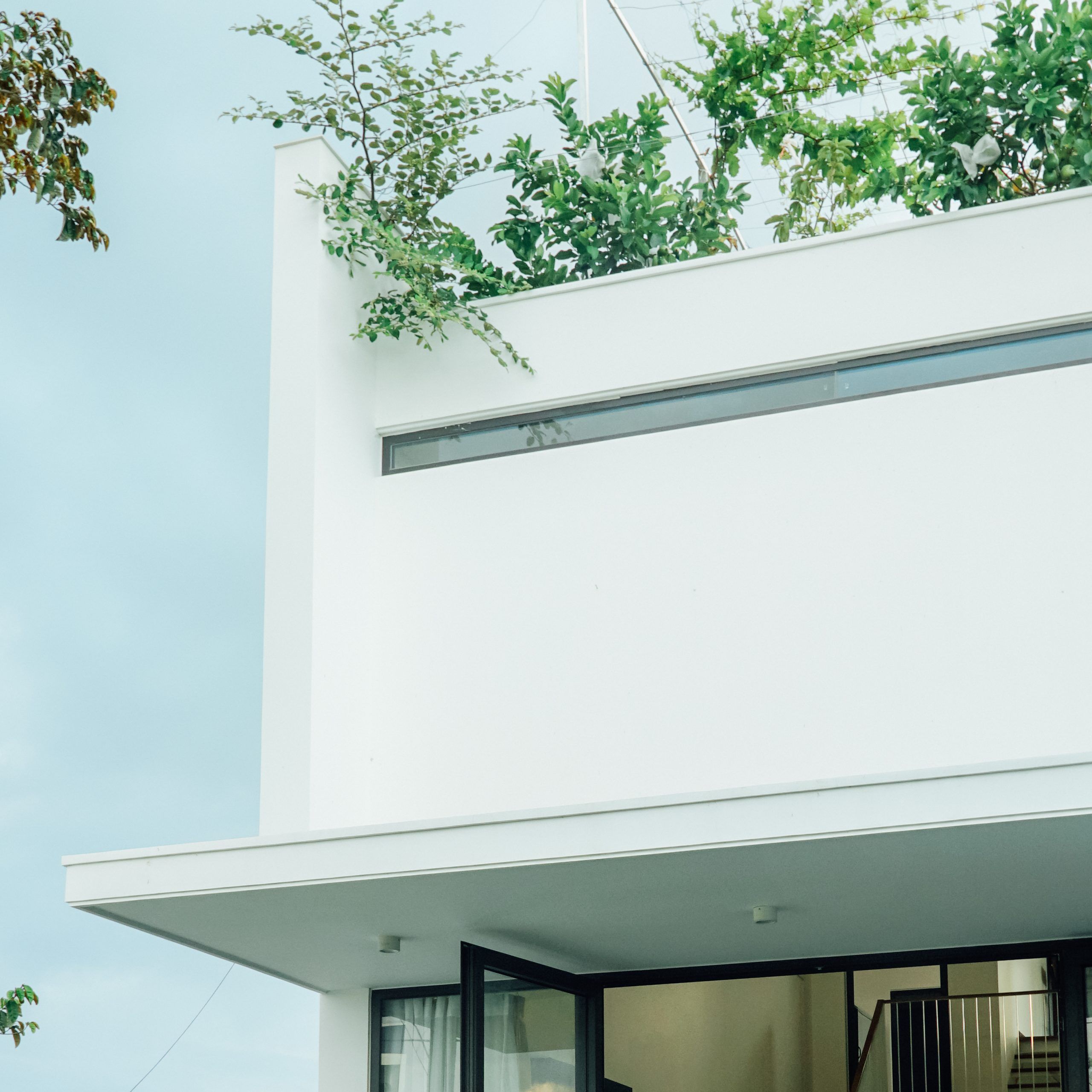 绿意盎然的四口之家-22