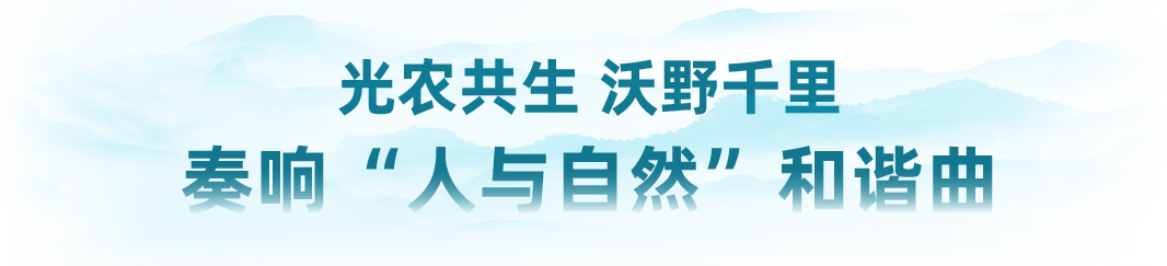 荒山“种”绿电，绘就绿色低碳发展新画卷-3