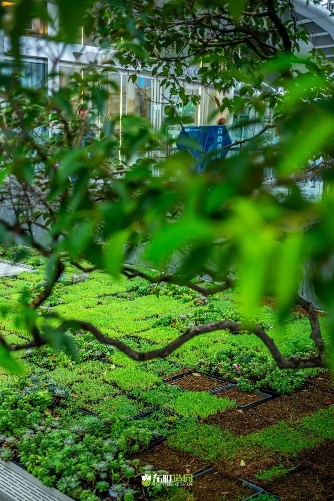 町室丨中国上海丨朱伟国（Mark.Zhu）-76