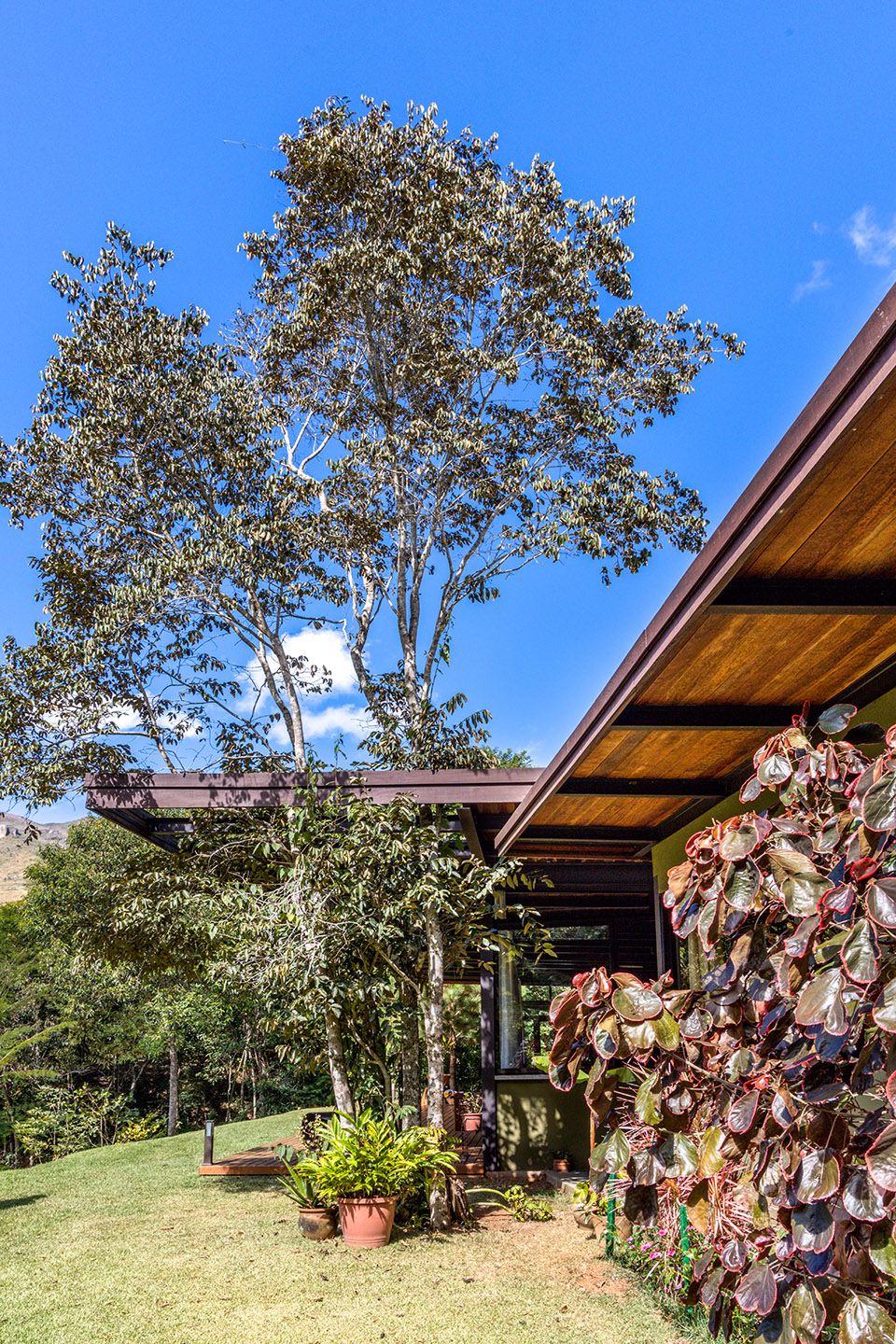 Videiras山谷中的住宅，巴西 / Rodrigo Simão Arquitetura-96