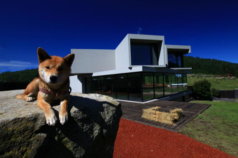 墨西哥森林中的“兰乔·德尔·阿尔波”庄园-6