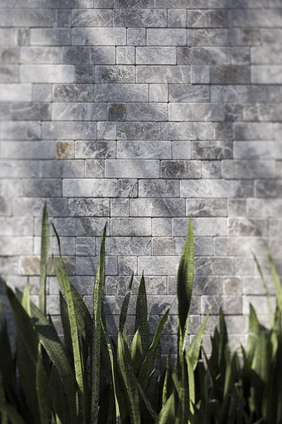 曼谷ReGEN住宅  / EKAR-68