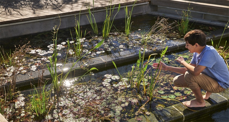 泰斯医疗中心赫利公园丨美国德克萨斯丨mikyoung kim design-11