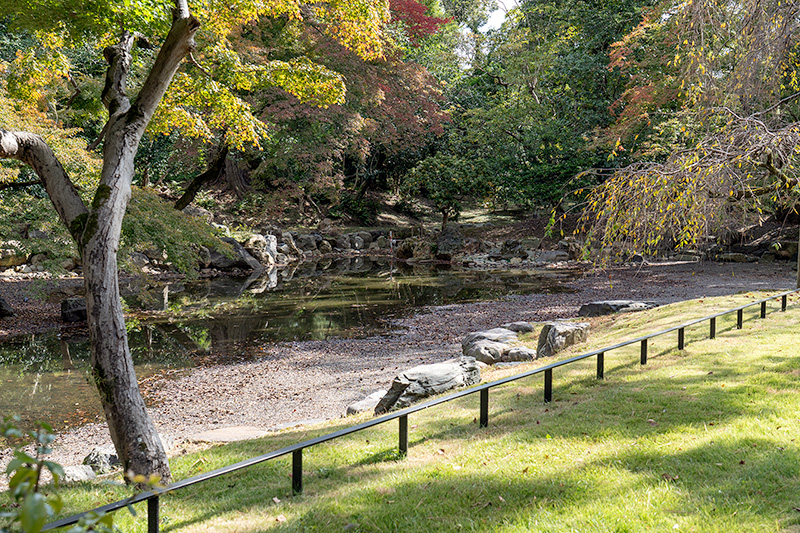 近衞邸跡池泉庭園丨日本京都-17